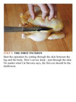 The food lab  better home cooking through science ( PDFDrive ) 439 