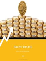 ( mẫu powerpoint ) gold coins finance powerpoint templates standard 