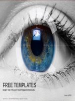( mẫu powerpoint ) colored eye medical powerpoint templates standard 