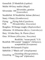 On food and cooking  the science and lore of the kitchen ( PDFDrive ) 385 