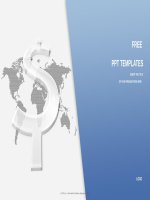 ( mẫu powerpoint ) transparent dollar sign finance PPT templates widescreen 