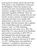 On food and cooking  the science and lore of the kitchen ( PDFDrive ) 591 