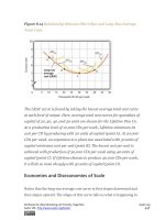 Authors libby rittenberg 447 