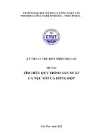KỸ THUẬT CHẾ BIẾN NHIỆT độ CAO đề tài tìm HIỂU QUY TRÌNH sản XUẤT cá nục sốt cà ĐÓNG hộp 