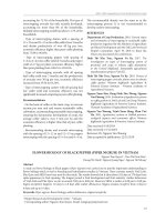 Flower biology of black pepper (Piper nigrum) in Vietnam