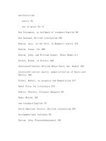 The cambridge companion to british roman 362 