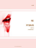( mẫu powerpoint ) girl applying lip gloss recreation powerpoint templates widescreen 