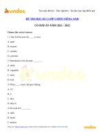 de thi tieng anh lop 5 hoc ki 2 nam 2021 2022 