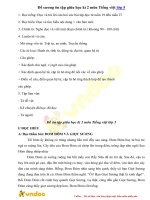 de cuong on tap giua hoc ki 2 lop 5 mon tieng viet (3) 