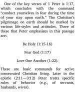 Jensens survey of the old testament adam 585 