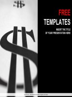 ( mẫu powerpoint ) dollar money powerpoint templates design pptx 