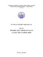 KỸ THUẬT CHẾ BIẾN NHIỆT độ CAO đề tài tìm HIỂU QUY TRÌNH sản XUẤT cá nục sốt cà ĐÓNG hộp 