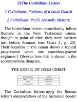 Jensens survey of the old testament adam 458 