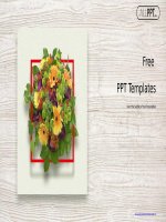 ( mẫu powerpoint ) flowers red frame powerpoint templates 