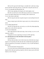 Tổng quan các công trình nghiên cứu trước kia 0050