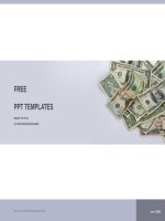 ( mẫu powerpoint ) USA cash finance powerpoint templates standard 