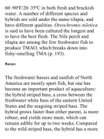 On food and cooking  the science and lore of the kitchen ( PDFDrive ) 392 