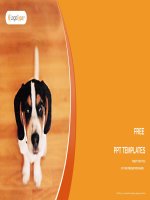 ( mẫu powerpoint ) little dog nature powerpoint templates widescreen 