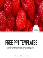 ( mẫu powerpoint ) raspberries nature PPT templates widescreen 