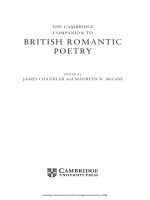 The cambridge companion to british roman 3 