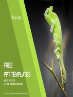 ( mẫu powerpoint ) chameleon sitting on green plant nature PPT templates widescreen 