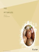 ( mẫu powerpoint ) easter eggs religion PPT templates standard 