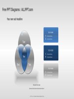 ( mẫu powerpoint ) venn diagrams relationship PPT diagrams widescreen 