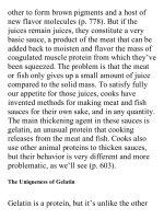 On food and cooking  the science and lore of the kitchen ( PDFDrive ) 1130 