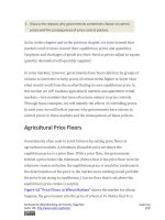 Authors libby rittenberg 199 