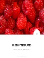 ( mẫu powerpoint ) raspberries nature PPT templates standard 