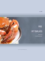 ( mẫu powerpoint ) chilli mud crab food powerpoint templates standard 