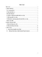 Nghiên cứu xu hướng sử dụng các trang web nhạc số việt nam nói chung và website mp3 zing vn nói riêng 