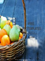 ( mẫu powerpoint ) fresh fruit basket food PPT templates standard 