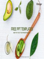 ( mẫu powerpoint ) alternative health care powerpoint templates widescreen 