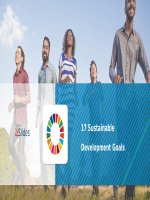 (Mẫu powerpoint) 17 sustainable development goals creative 