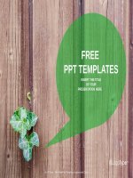 ( mẫu powerpoint ) green plant nature powerpoint templates standard 