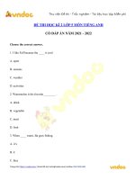 de thi tieng anh lop 5 hoc ki 2 nam 2021 2022 