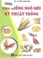 Kỹ thuật trồng các giống ngô mới: Phần 1 - KS. Lê Đức Nam Anh
