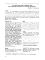 Intercropping in coffee farms, new trend for sustainable cultivation in the central highlands