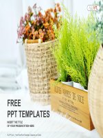 ( mẫu powerpoint ) small plant pot displayed powerpoint templates standard 