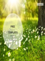 ( mẫu powerpoint ) flowers meadow nature PPT standard 