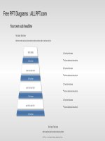 ( mẫu powerpoint ) hierarchy PPT diagrams widescreen 
