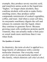 On food and cooking  the science and lore of the kitchen ( PDFDrive ) 1348 