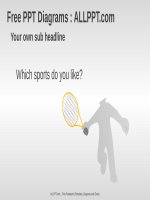 ( mẫu powerpoint ) free sport graphic PPT diagrams widescreen1 