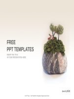 ( mẫu powerpoint ) viewing stone nature PPT templates standard 