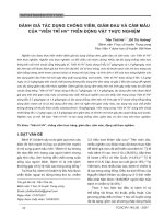 Đánh giá tác dụng chống viêm, giảm đau và cầm máu của “viên trĩ HV” trên động vật thực nghiệm 