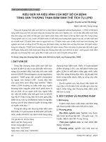 Kiểu gen và kiểu hình của một số ca bệnh tăng sản thượng thận bẩm sinh thể tích tụ lipid 