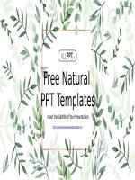 ( mẫu powerpoint ) natural leaf powerpoint templates 