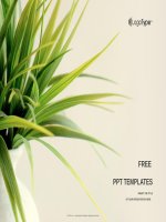 ( mẫu powerpoint ) fresh plant nature powerpoint templates standard 