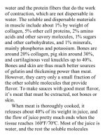 On food and cooking  the science and lore of the kitchen ( PDFDrive ) 1132 